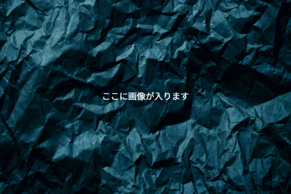製品のイメージ画像